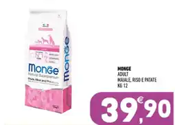 Ayoka Monge adult maiale, riso e patate offerta