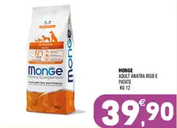 Ayoka Monge adult anatra riso e patate offerta