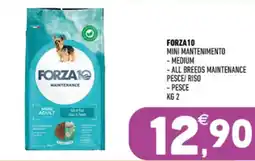 Ayoka Forza10 Maintenance Mini Adult offerta