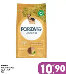 Ayoka Forza10 Mini Maintenance Pollo e Patate offerta