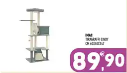 Ayoka Imac tiragraffi cindy offerta