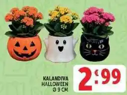 Deco Supermercati Kalandiva Halloween offerta