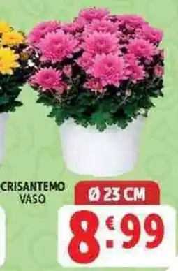 Deco Supermercati Crisantemo Vaso offerta