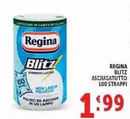 Deco Supermercati Regina Blitz asciugatutto offerta