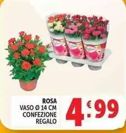 Deco Supermercati Rosa offerta