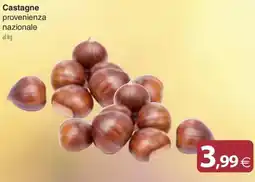 Docks Cash&Carry Castagne offerta