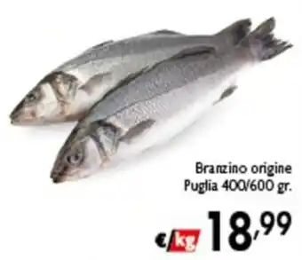 Branzino origine Puglia