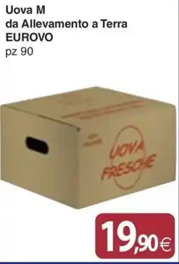 Docks Cash&Carry Uova M da Allevamento a Terra EUROVO offerta