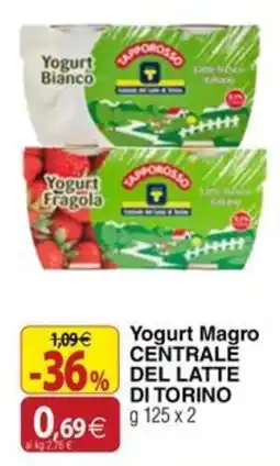 Docks Cash&Carry Yogurt Magro CENTRALE DEL LATTE DI TORINO offerta