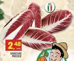 Centro Commerciale Discount Radicchio precoce offerta