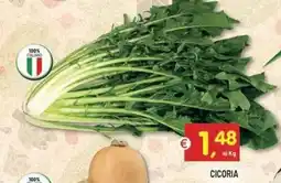 Centro Commerciale Discount Cicoria offerta