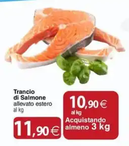 Docks Cash&Carry Trancio di Salmone allevato estero offerta