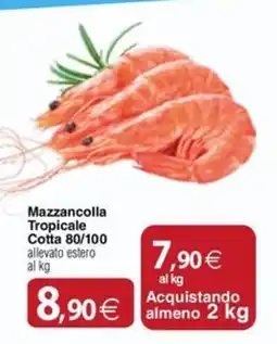 Docks Cash&Carry Mazzancolla Tropicale Cotta offerta
