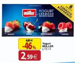 Docks Cash&Carry Yogurt MULLER offerta