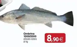 Docks Cash&Carry Ombrina offerta