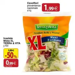 Docks Cash&Carry Insalata Mista XL Terra & Vita offerta