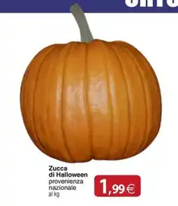 Docks Cash&Carry Zucca di Halloween offerta