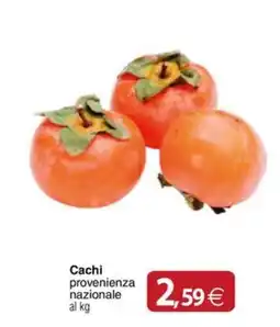 Docks Cash&Carry Cachi offerta
