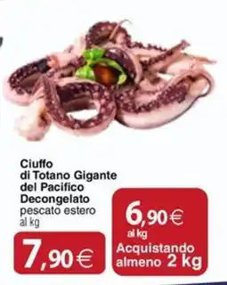 Docks Cash&Carry Ciuffo di Totano Gigante del Pacifico offerta