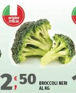 Vivo Supermercati Broccoli neri offerta