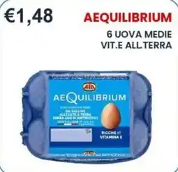 Caramico Aequilibrium uova medie offerta