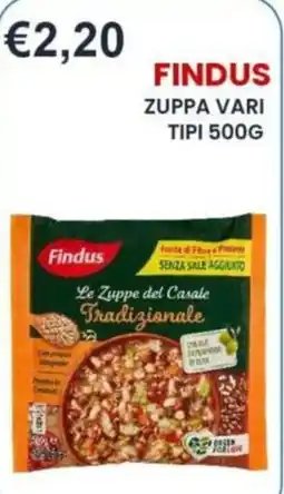 Caramico Findus Le Zuppe del Casale Tradizionale offerta