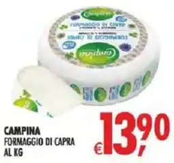 Deco Iperstore Campina formaggio di capra offerta