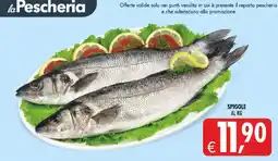 Deco Iperstore Spigole offerta