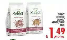 Deco Iperstore Select Lenticchie Rosse offerta