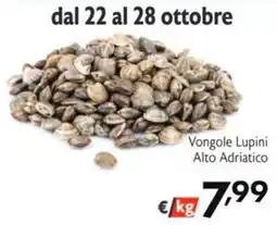 SuperW Vongole Lupini Alto Adriatico offerta