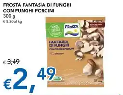 Migross Superstore Frosta Fantasia di funghi con funghi porcini offerta