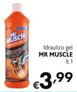 SuperW Idraulico gel Mr Muscle offerta