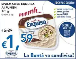 Migross Superstore Spalmabile Exquisa ai funghi offerta