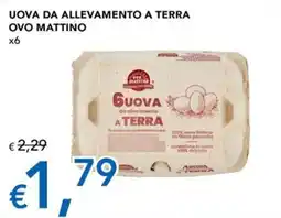 Migross Superstore Guova da allevamento a terra offerta