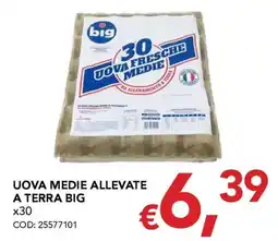 Migross Supermercati e Market Uova medie allevate a terra Big offerta