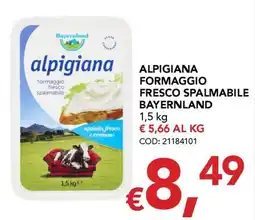 Migross Supermercati e Market Alpigiana formaggio fresco spalmabile Bayernland offerta