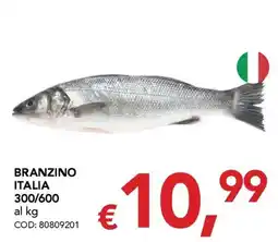 Migross Supermercati e Market Branzino Italia offerta