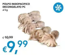 Migross Superstore Polpo indopacifico offerta