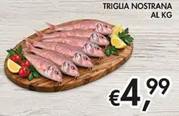 Maxi Coal Triglia nostrana offerta