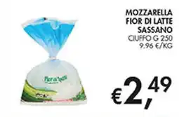 Maxi Coal Mozzarella fior di latte sassano offerta