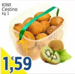 Market Ingross Kiwi Cestino offerta