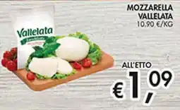 Maxi Coal Mozzarella Vallelata offerta