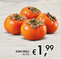 Maxi Coal Kaki mela offerta