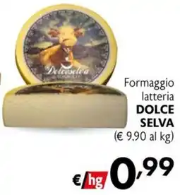 Maxi Family Formaggio latteria Dolce Selva offerta