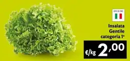 Maxi Family Insalata Gentile categoria 1ª offerta