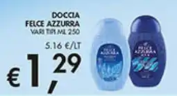 Maxi Coal Doccia felce azzurra offerta