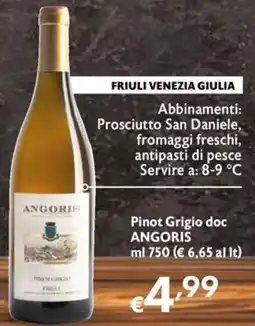 Eurospesa Pinot Grigio doc ANGORIS offerta