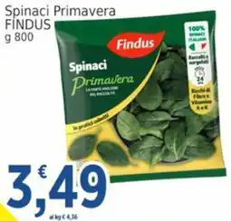 Market Ingross Spinaci Primavera Findus offerta