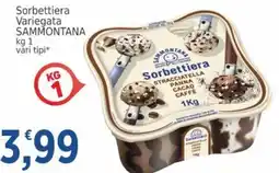 Market Ingross Sorbettiera variegata Sammontana offerta