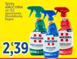 Market Ingross Spray Amuchina offerta